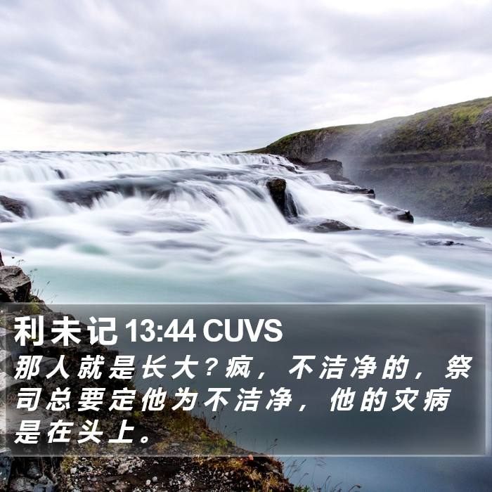 利 未 记 13:44 CUVS Bible Study