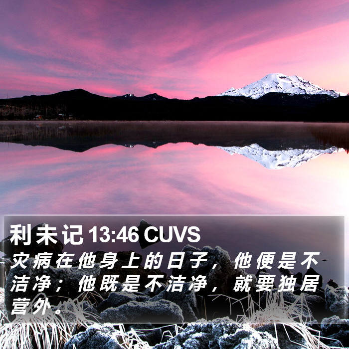 利 未 记 13:46 CUVS Bible Study