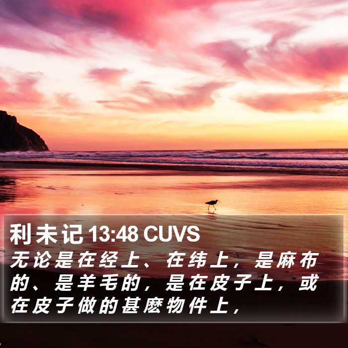 利 未 记 13:48 CUVS Bible Study