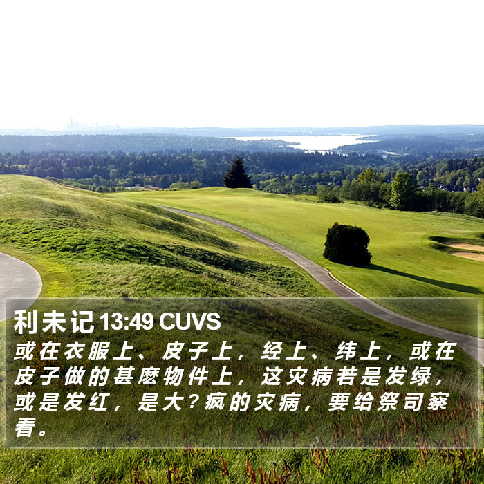 利 未 记 13:49 CUVS Bible Study