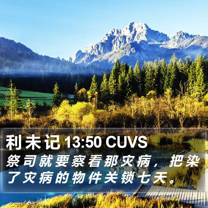 利 未 记 13:50 CUVS Bible Study