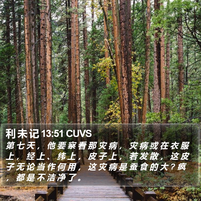 利 未 记 13:51 CUVS Bible Study