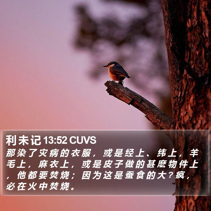 利 未 记 13:52 CUVS Bible Study