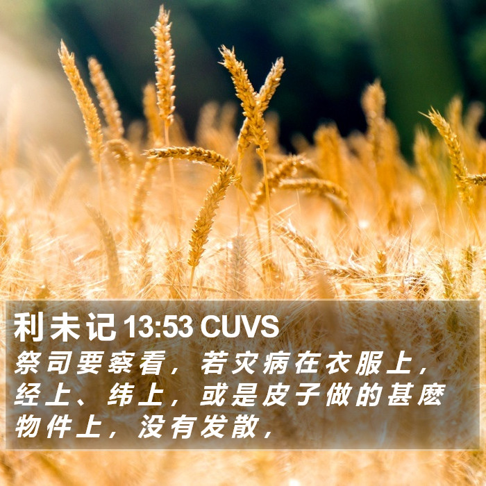 利 未 记 13:53 CUVS Bible Study