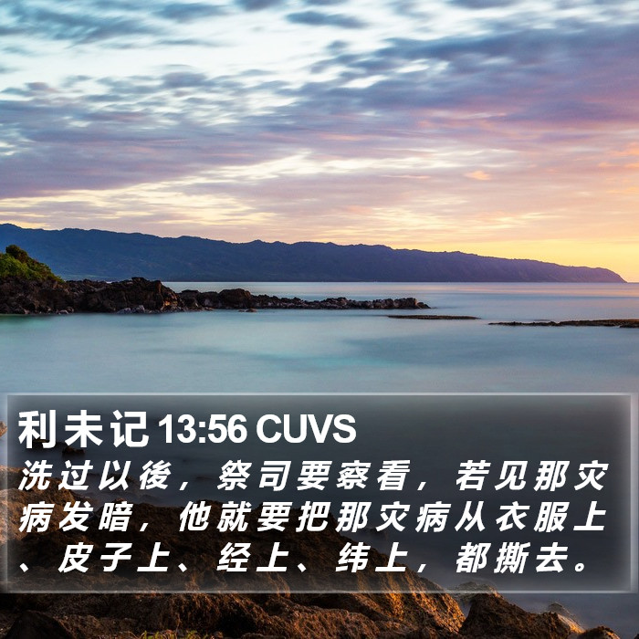 利 未 记 13:56 CUVS Bible Study