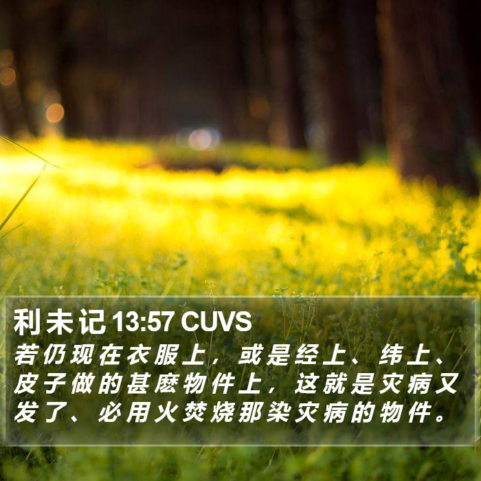 利 未 记 13:57 CUVS Bible Study