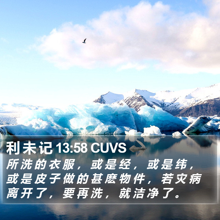 利 未 记 13:58 CUVS Bible Study