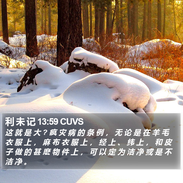 利 未 记 13:59 CUVS Bible Study