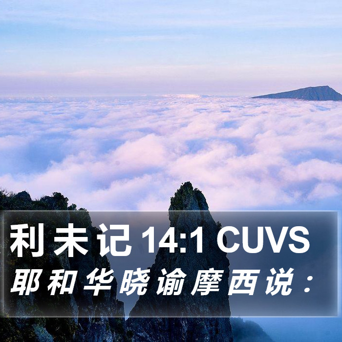 利 未 记 14:1 CUVS Bible Study
