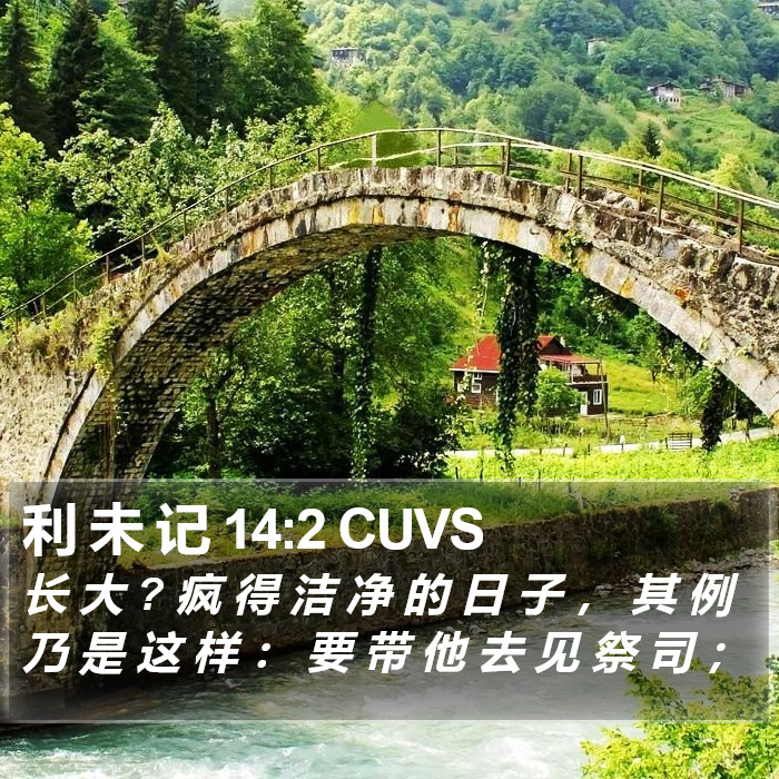 利 未 记 14:2 CUVS Bible Study
