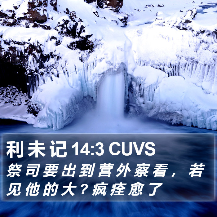利 未 记 14:3 CUVS Bible Study