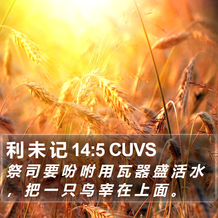 利 未 记 14:5 CUVS Bible Study