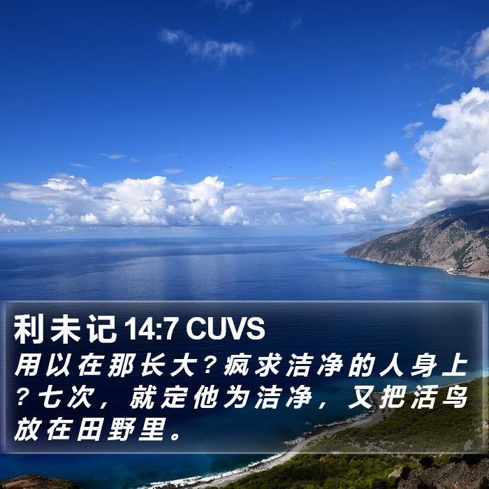 利 未 记 14:7 CUVS Bible Study