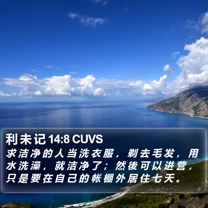利 未 记 14:8 CUVS Bible Study