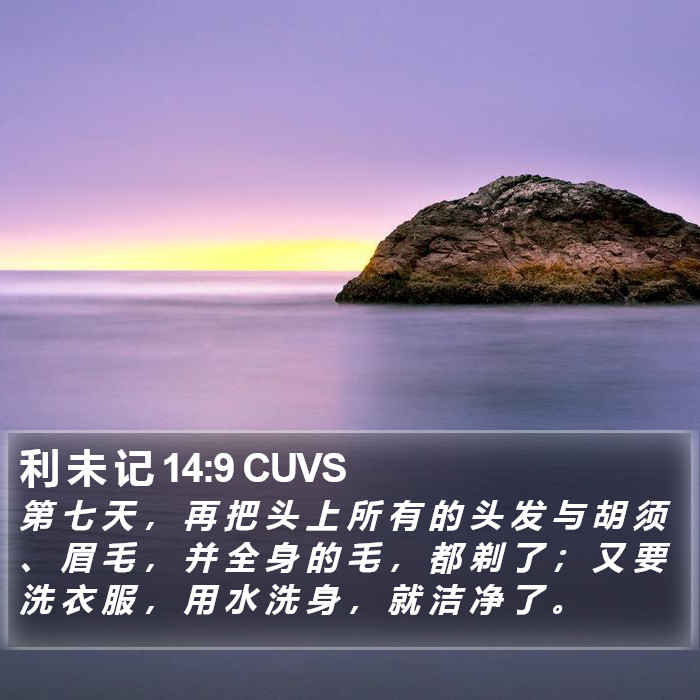 利 未 记 14:9 CUVS Bible Study