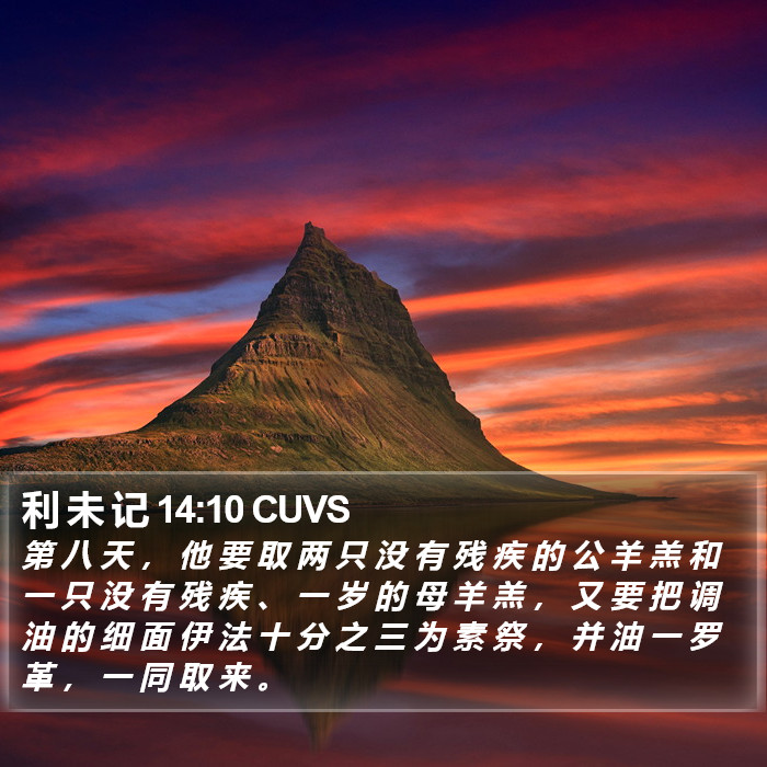 利 未 记 14:10 CUVS Bible Study