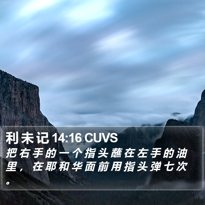 利 未 记 14:16 CUVS Bible Study