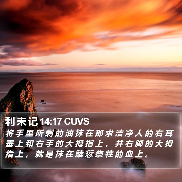 利 未 记 14:17 CUVS Bible Study