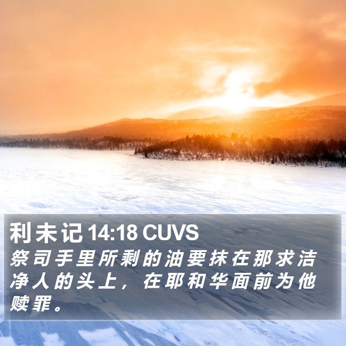 利 未 记 14:18 CUVS Bible Study