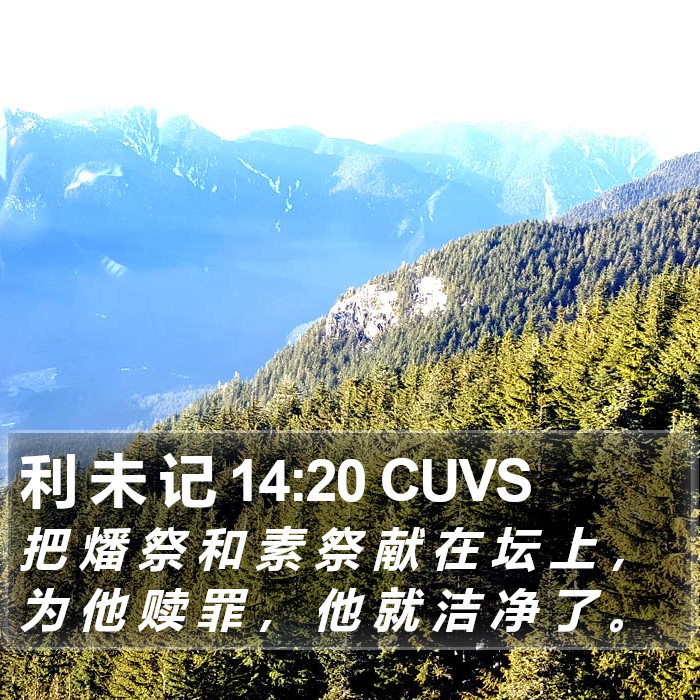利 未 记 14:20 CUVS Bible Study