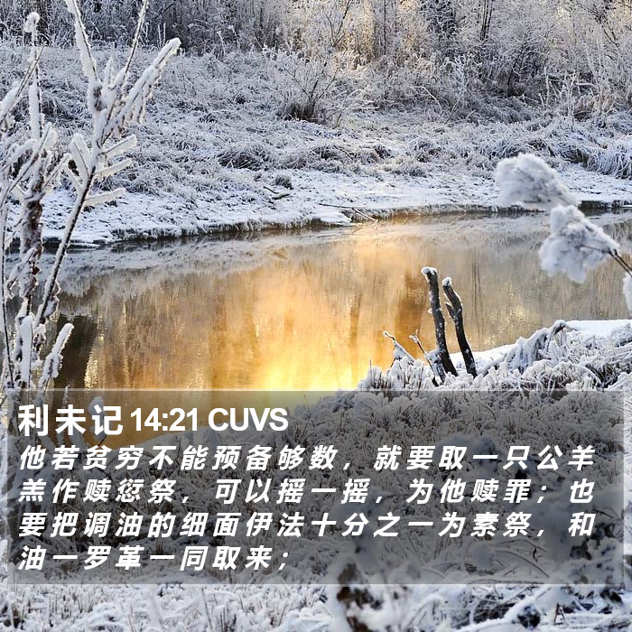 利 未 记 14:21 CUVS Bible Study