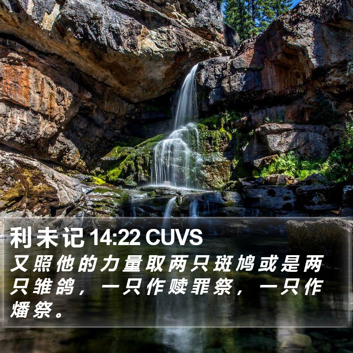 利 未 记 14:22 CUVS Bible Study