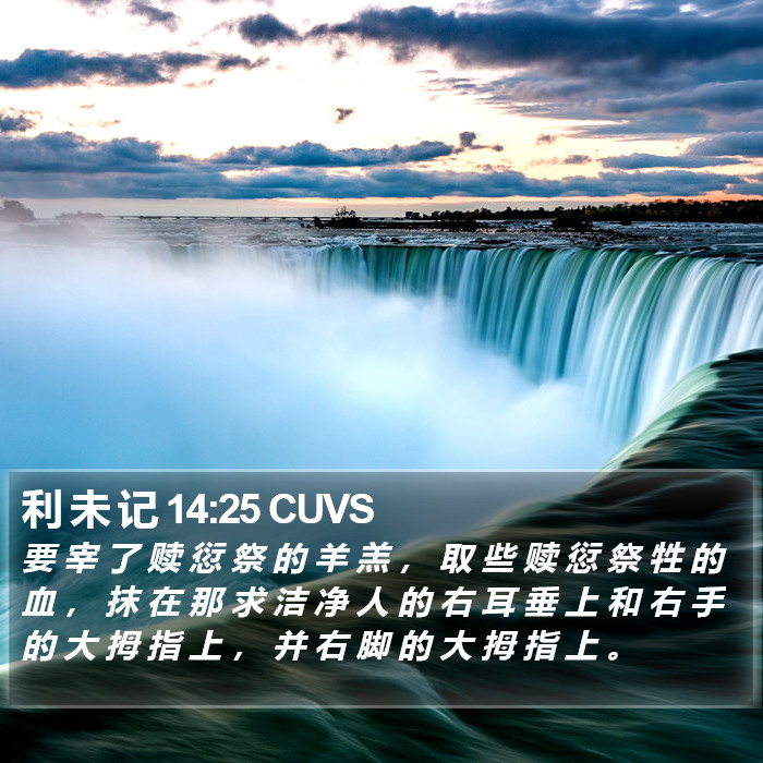 利 未 记 14:25 CUVS Bible Study