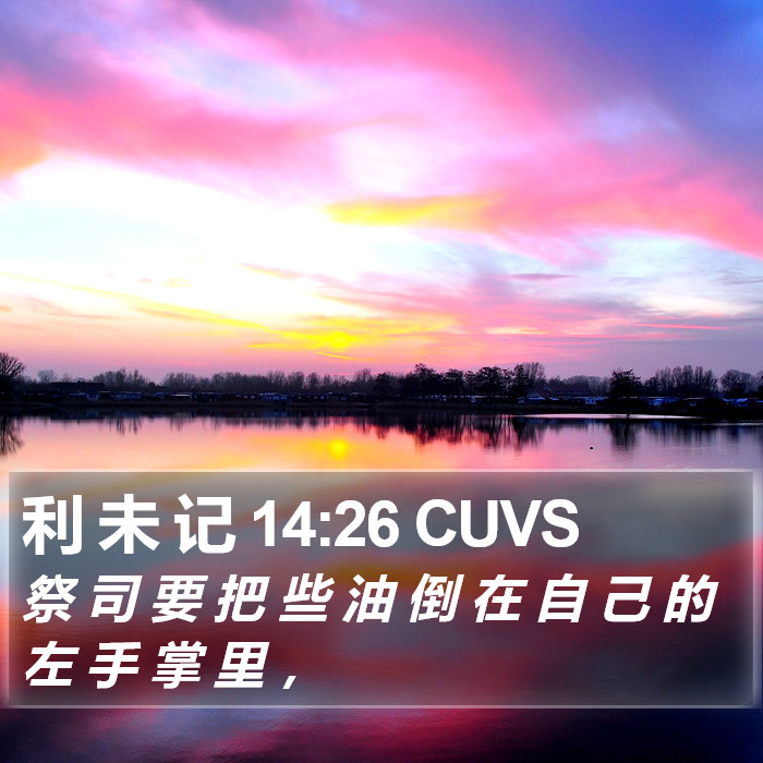 利 未 记 14:26 CUVS Bible Study