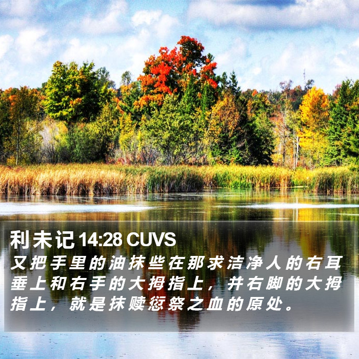利 未 记 14:28 CUVS Bible Study