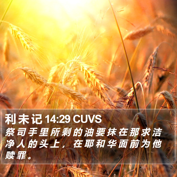 利 未 记 14:29 CUVS Bible Study