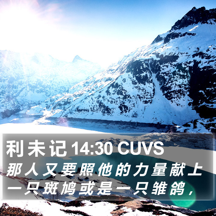 利 未 记 14:30 CUVS Bible Study