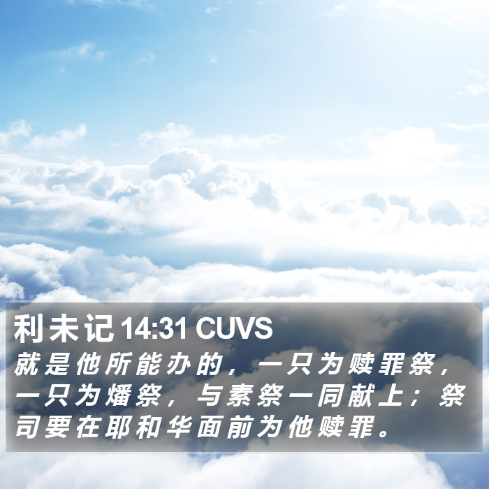 利 未 记 14:31 CUVS Bible Study