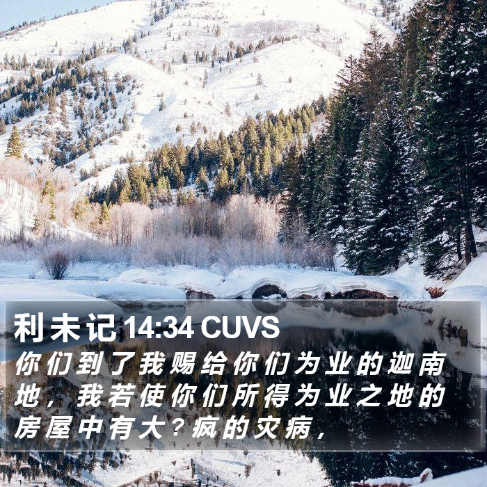 利 未 记 14:34 CUVS Bible Study