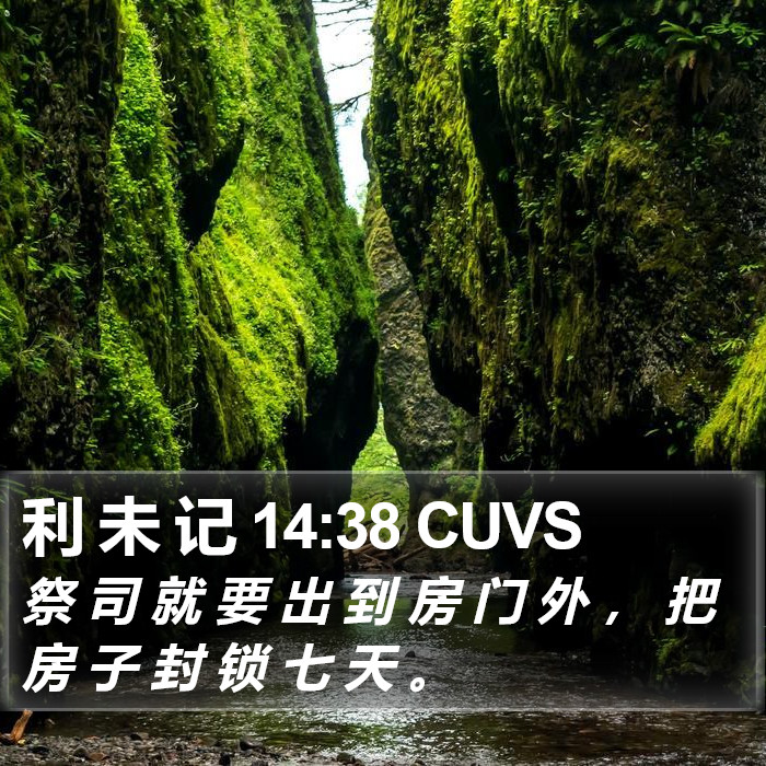 利 未 记 14:38 CUVS Bible Study