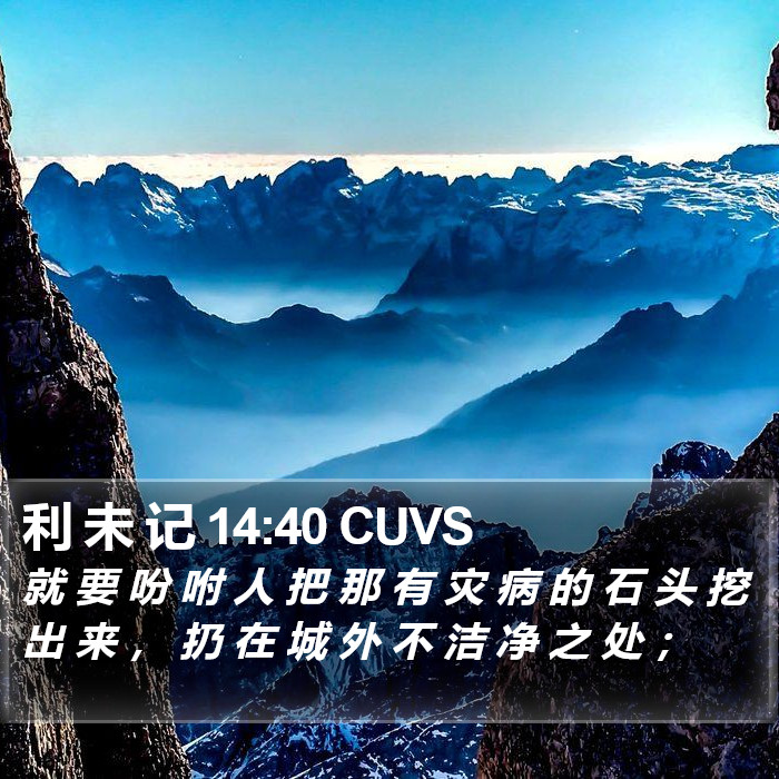 利 未 记 14:40 CUVS Bible Study