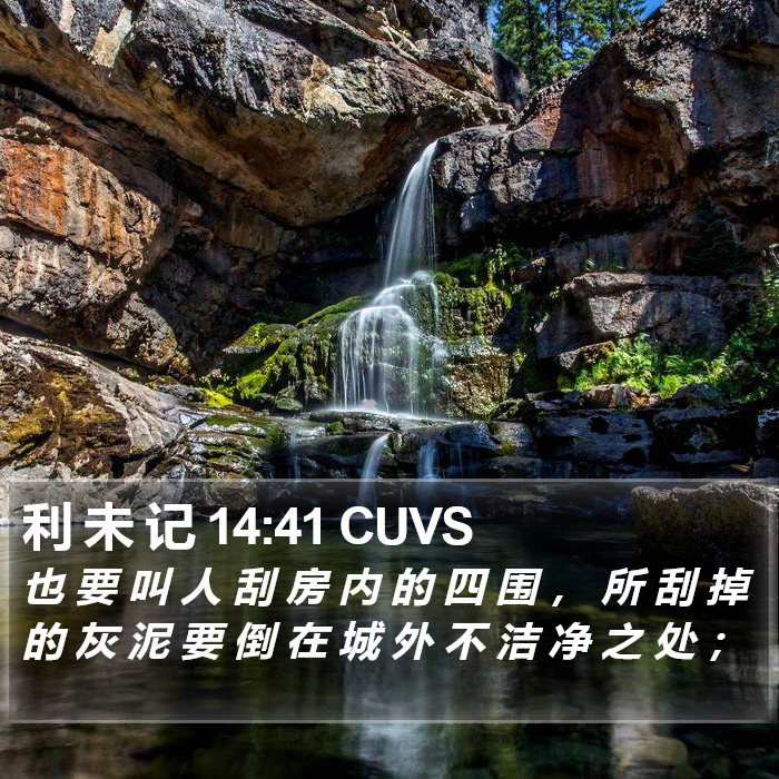 利 未 记 14:41 CUVS Bible Study