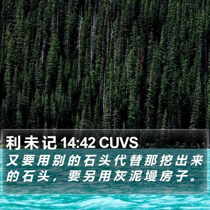 利 未 记 14:42 CUVS Bible Study