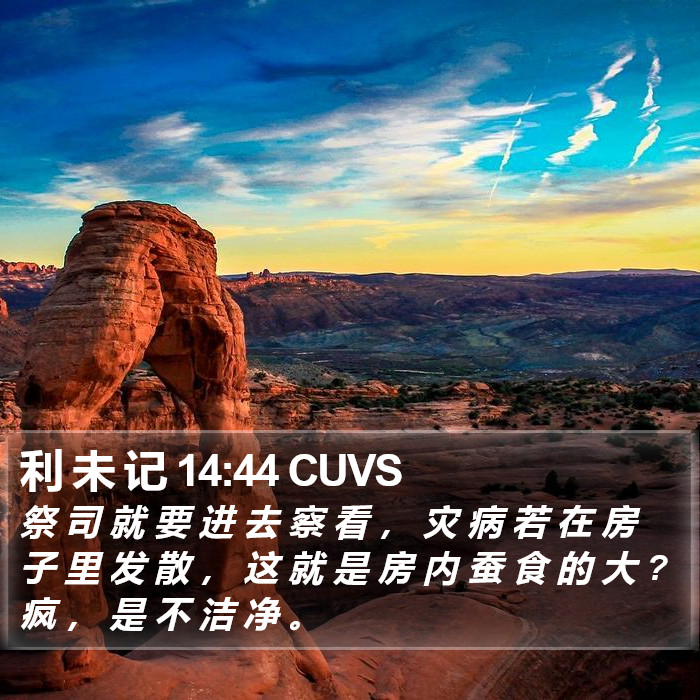 利 未 记 14:44 CUVS Bible Study
