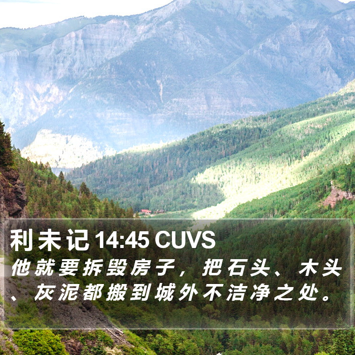 利 未 记 14:45 CUVS Bible Study