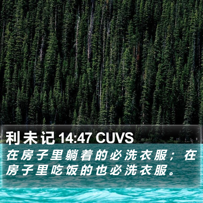 利 未 记 14:47 CUVS Bible Study