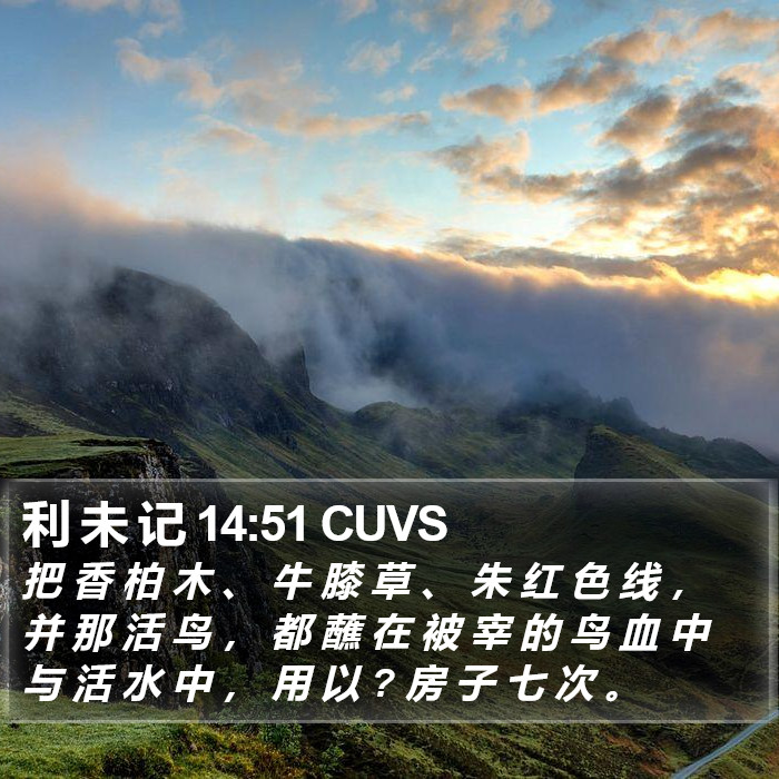 利 未 记 14:51 CUVS Bible Study