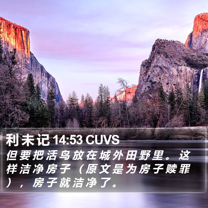 利 未 记 14:53 CUVS Bible Study