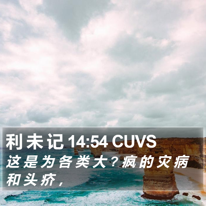 利 未 记 14:54 CUVS Bible Study