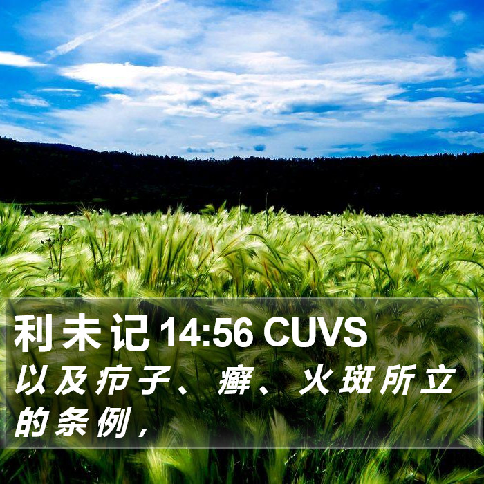 利 未 记 14:56 CUVS Bible Study