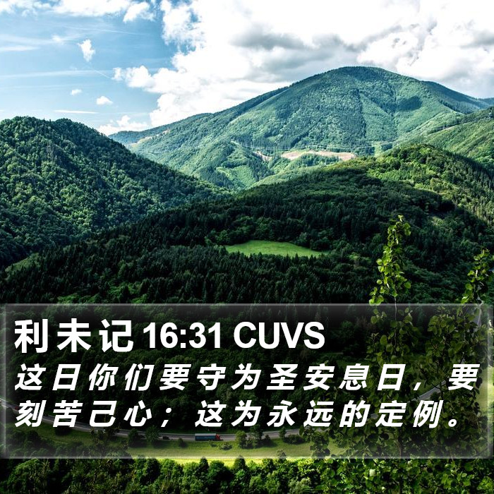 利 未 记 16:31 CUVS Bible Study