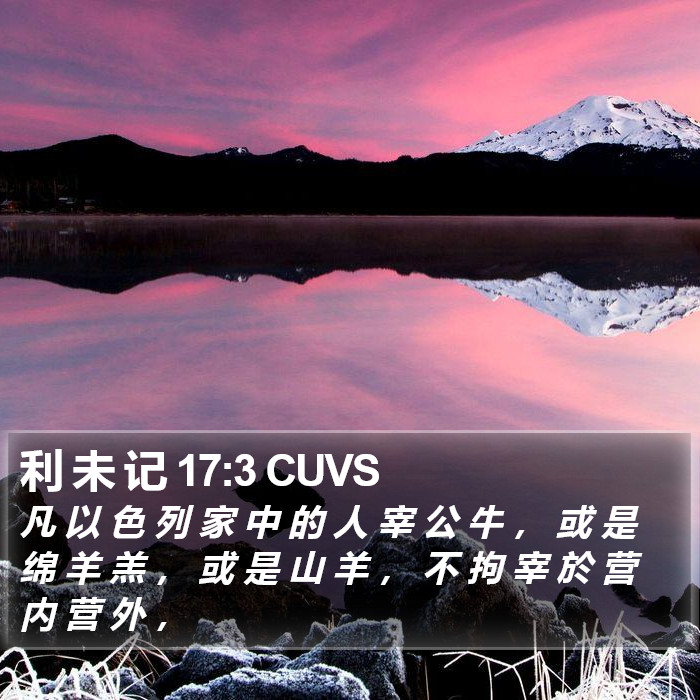 利 未 记 17:3 CUVS Bible Study