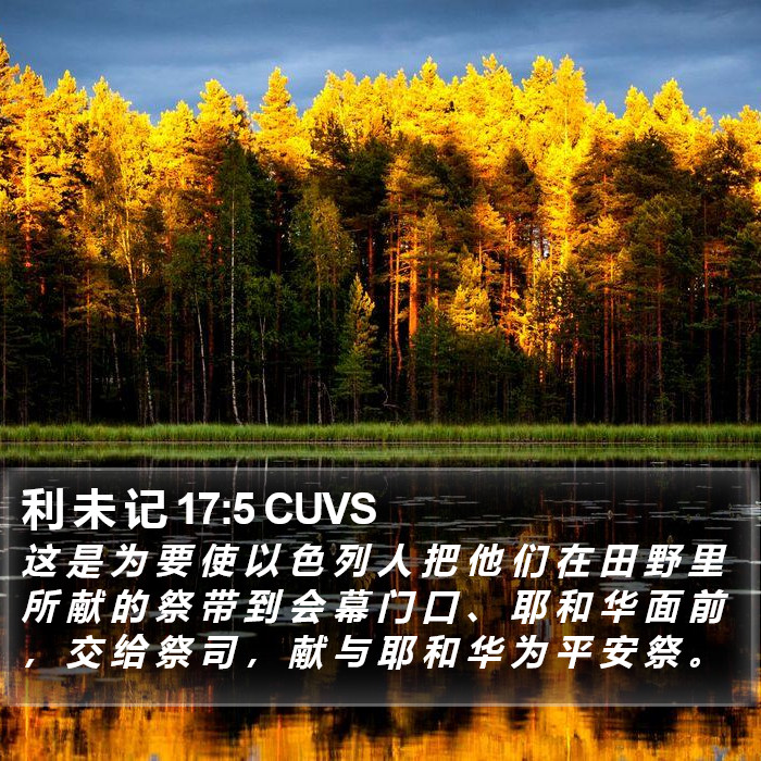 利 未 记 17:5 CUVS Bible Study