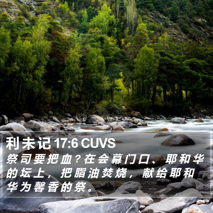 利 未 记 17:6 CUVS Bible Study