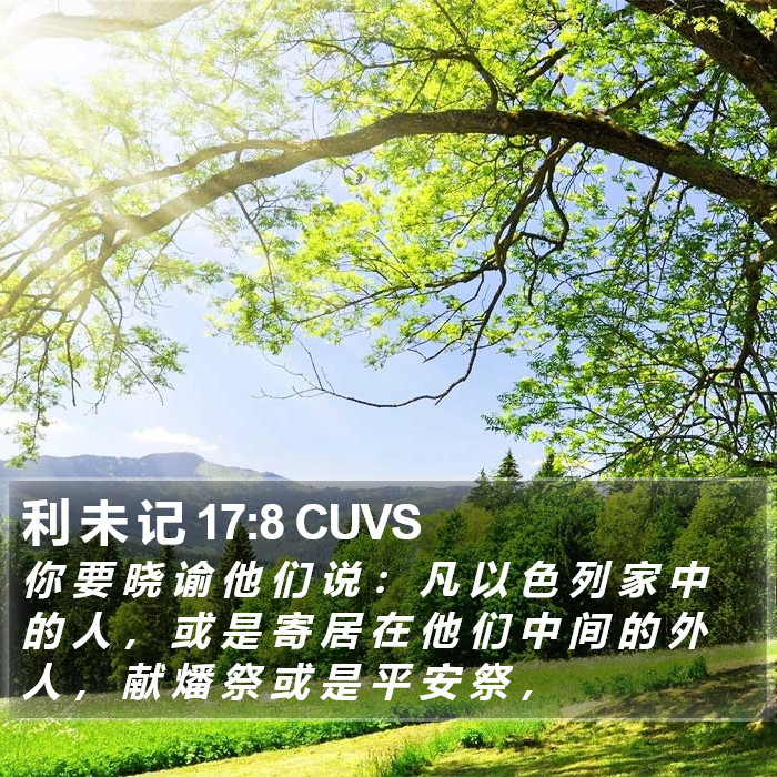 利 未 记 17:8 CUVS Bible Study