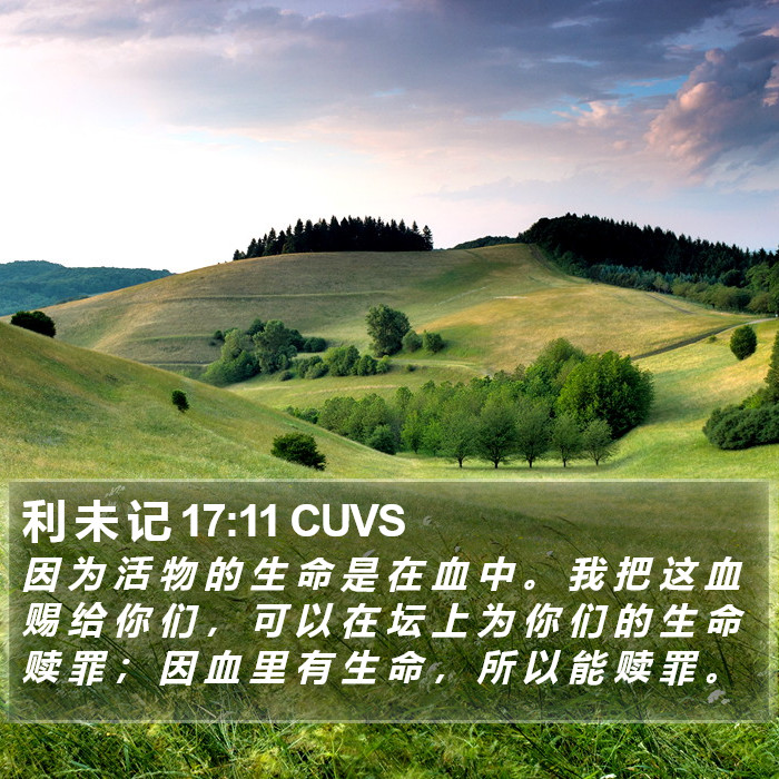 利 未 记 17:11 CUVS Bible Study